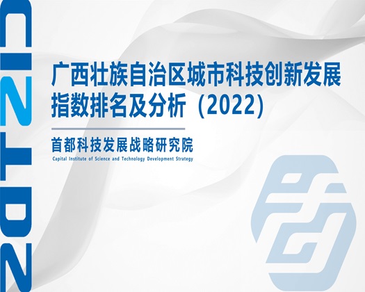 男生和女生捅鸡鸡视频【成果发布】广西壮族自治区城市科技创新发展指数排名及分析（2022）